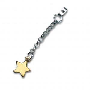 sterling silver gold star earring