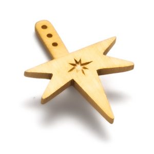 gold star ear jacket