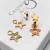 colourful enamelled star charm gold