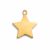 Gold plate star charm